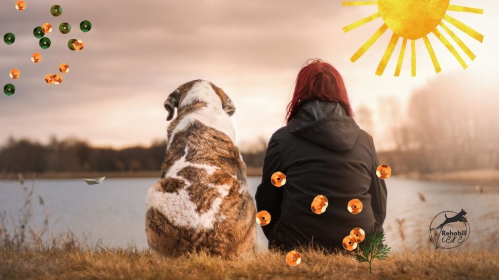 Herdenschutzhunde – Immer ein Problem?