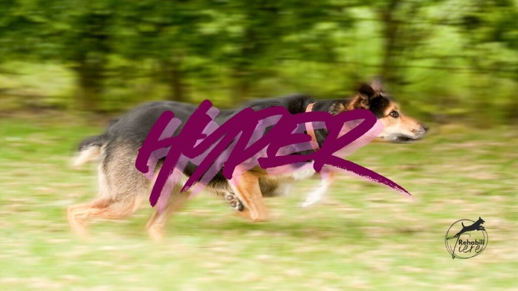 Hyperaktivität
