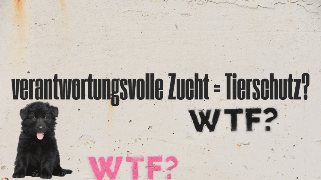 Ist verantwortungsvolle Zucht Tierschutz?